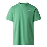 The North Face Men's Evolution Simple Dome Regular T-Shirt