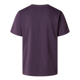 The North Face Men's Evolution Simple Dome Regular T-Shirt