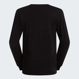 The North Face Men's Evolution Simple Dome Regular Long-Sleeve T-Shirt