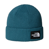 The North Face Salty Lined Beanie